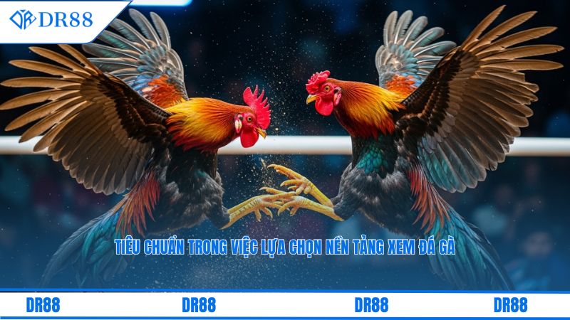 Bảng lịch thi đấu chi tiết các trận đá gà quan trọng được cập nhật hàng ngày.