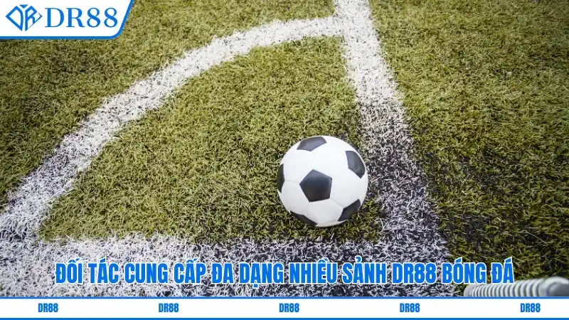 Đối tác cung cấp đa dạng nhiều sảnh Thể thao DR88