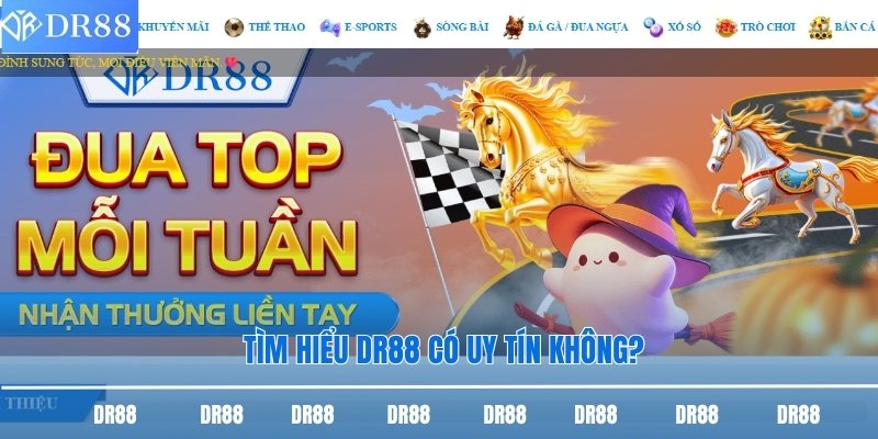 Tìm hiểu DR88 có uy tín không?