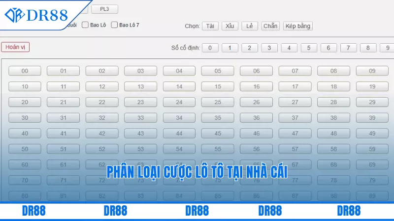 Phân loại cược lô tô tại nhà cái