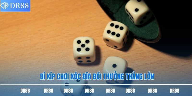 Bí kíp chơi xóc đĩa đổi thưởng thắng lớn