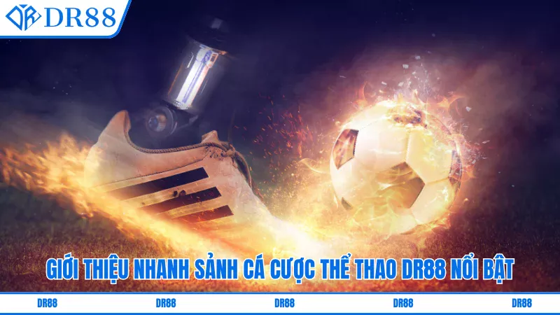 Giới thiệu nhanh sảnh Cược thể thao online DR88 nổi bật