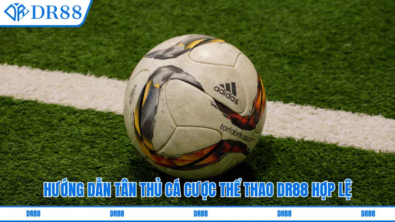 Hướng dẫn tân thủ Cược thể thao online DR88 hợp lệ