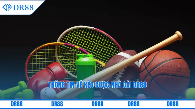 Thông tin về kèo cược nhà cái DR88