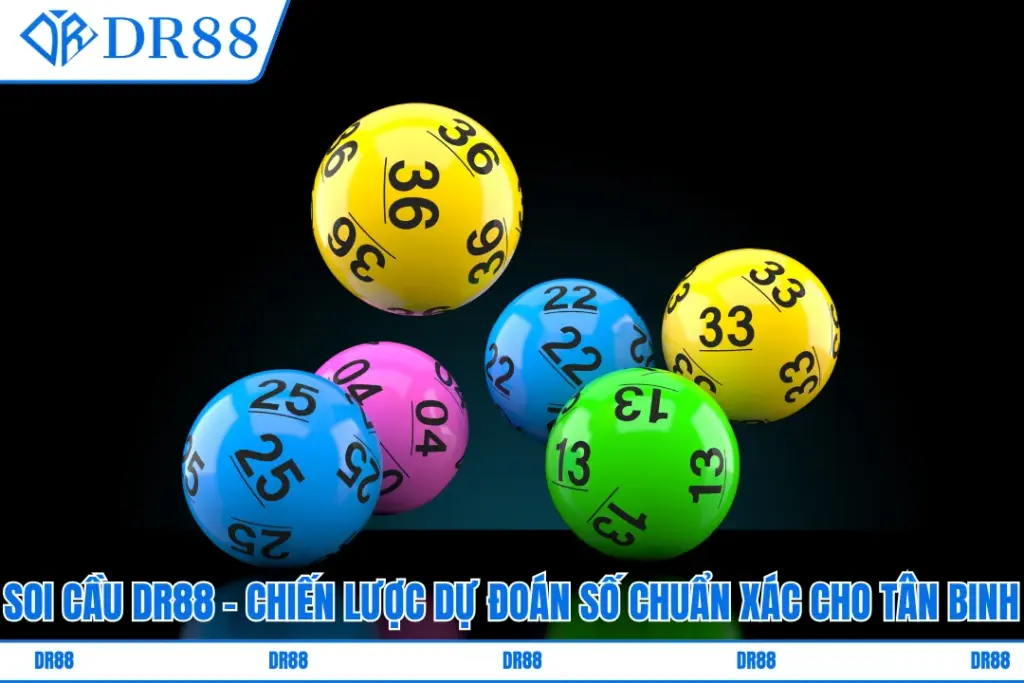 soi-cau-dr88