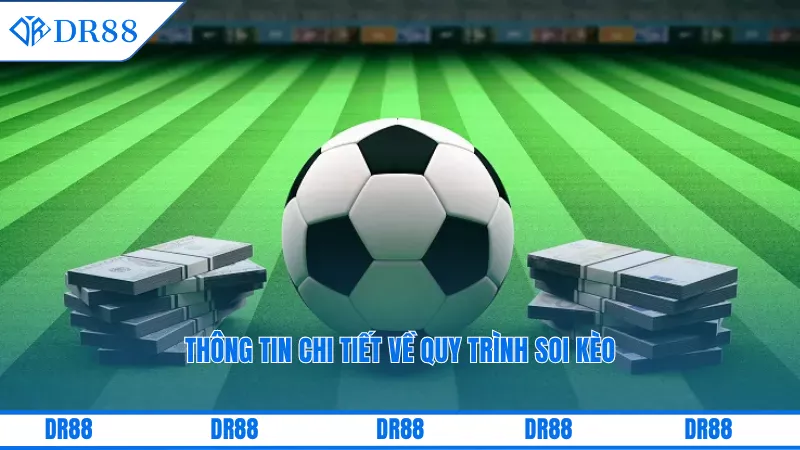 Thông tin chi tiết về quy trình soi kèo