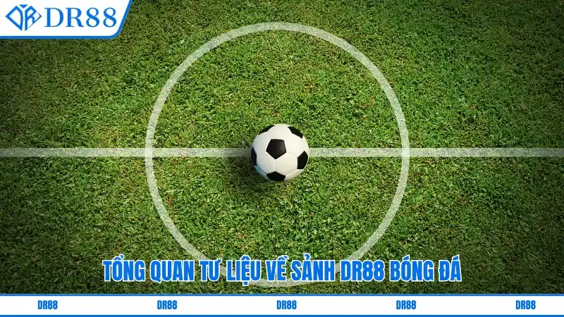 Tổng quan tư liệu về sảnh Thể thao DR88