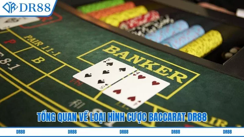 Tổng quan về loại hình cược baccarat DR88