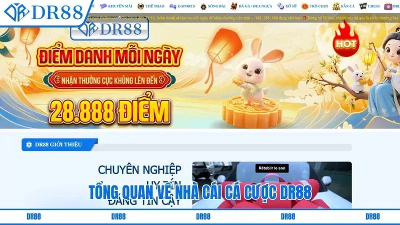 Tổng quan về nhà cái cá cược DR88