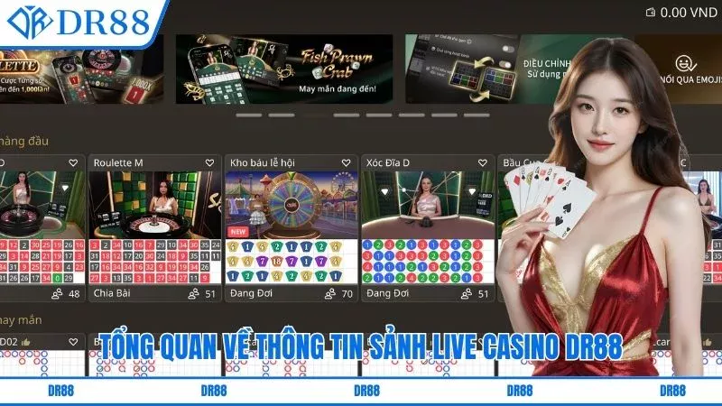 Tổng quan về thông tin sảnh Live Casino DR88