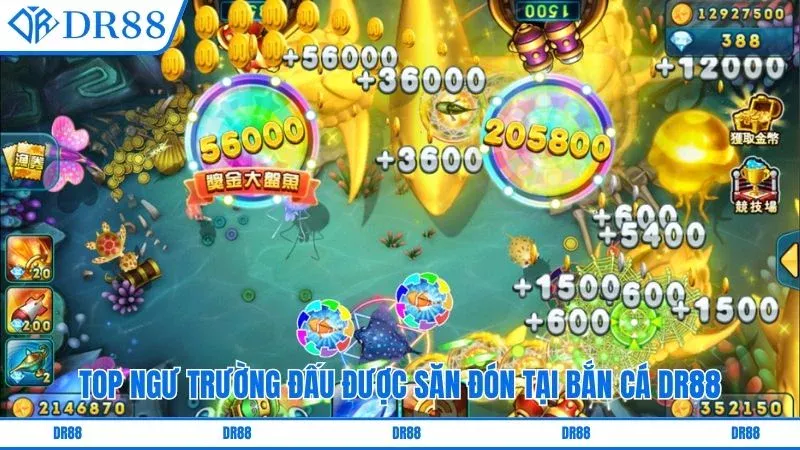 Top ngư trường đấu được săn đón tại bắn cá DR88